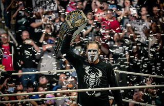 Sting