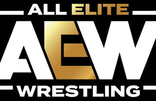 AEW star makes return during Ring of Honor tapings - F4W/WON