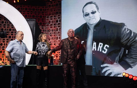 Ric Flair and Steve McMichael